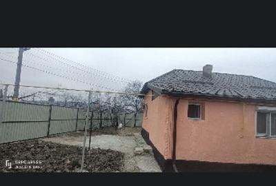 Harlau, Ia?i. Casa. - 6