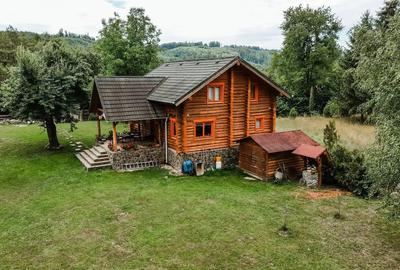 Casă cu 4 camere cu Teren 5000 Mp în Câmpu Cetății - 2