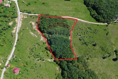 Teren Construcții intravilan de 30670 mp, în Codru Butesii - 2