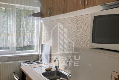 Apartament 3 camere , pet friendly, Take Ionescu - 4