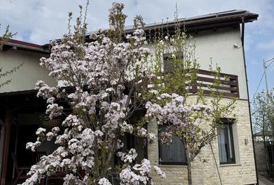 Casă cu 4 camere cu Teren 300 Mp în Chiajna - 3