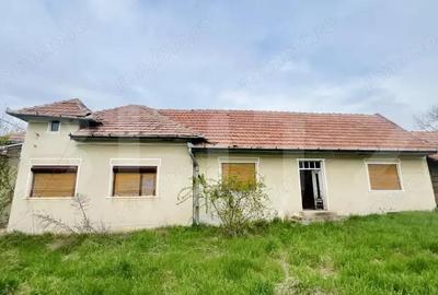 Casa de Vanzare, 4139 mp, Hapria, Ciugud Ideala ca Locuin?a sau Proiect Rural - 9