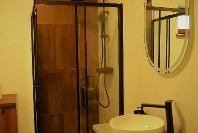 Casă premium de închiriat în Stupinii Prejmerului - 9