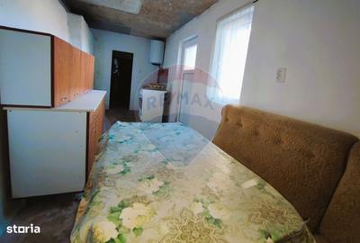 Casă cu 2 camere cu Teren 280 Mp în Tilișca - 3