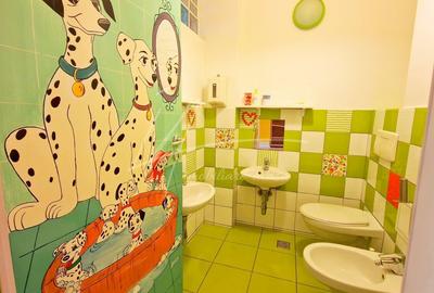 Apartament rar cu 5 camere si curte de 358 mp - Prelungirea Ghencea - 6