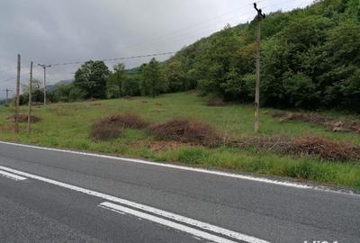 Teren de 2500 mp, în Sichevița - 8