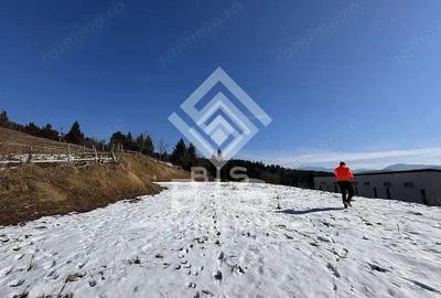 Teren intravilan Colibita 26 arii - 3