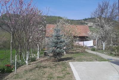 Casă cu 3 camere cu Teren 1400 Mp în Amnaș - 1