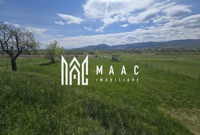 Teren agricol extravilan de 5400 mp, în Orlat - 7