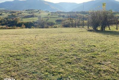 Teren de 972 mp, în Gura Râului - 6