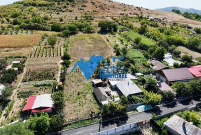 Casa cu teren in Telita - 3549MP - zona foarte frumoasa - 1