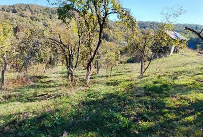 Teren cu priveli?te superba , livada ?i poten?ial casu? - 3