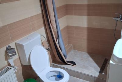 Garsonieră decomandată în Lazaret - 8