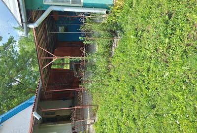 Casă cu 2 camere în Tioltiur - 4