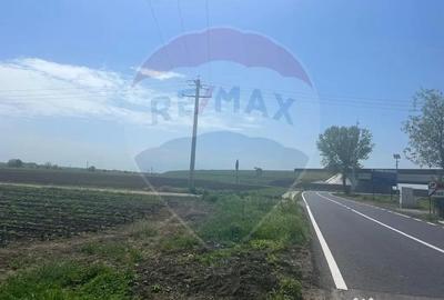 Teren de 6300 mp, în Jorăști