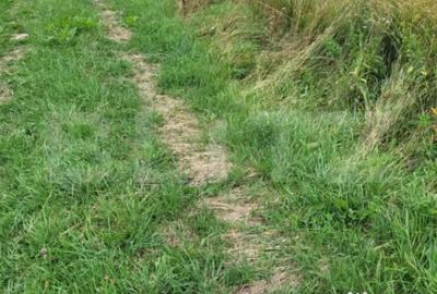 Teren de 2300 mp, în Central - 2