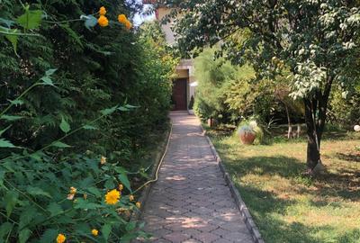 Chiajna, vila P+E+M, teren 900 mp,  369000 Euro - 17