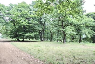 Teren 4713 mp pentru Dezvoltatori Imobiliari | Poiana Brasov