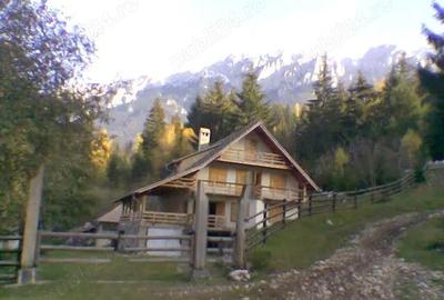 Casă cu 6 camere în Plaiul Foii - 5