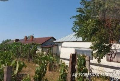 Teren de 830 mp, în Leu - 5