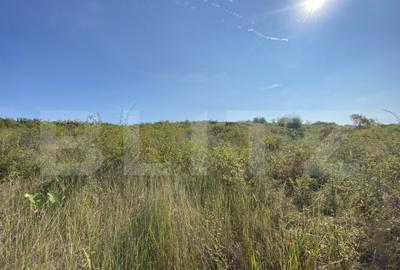 Teren intravilan/extravilan centura Zalau, 8200 mp - 6