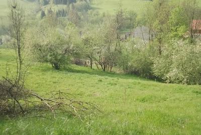 Spațiu comercial, în Vidra - 6