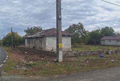 Casă cu Teren 1700 Mp în Nuntași - 4