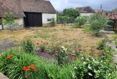 Comuna Augustin, casa deosebita, renovata integral, mobilata si utilata full!!! - 18