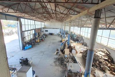 Teren de 7742 mp, în Buziașului