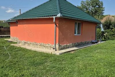 Casă cu 2 camere cu Teren 80 Mp în Bogata - 3