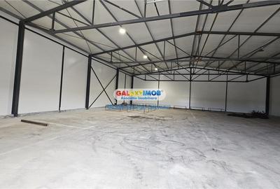 Inchiriere hala 600mp Oxigenului Catelu - 3