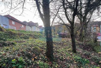 Teren Construcții intravilan de 1001 mp, în Luncă - 3