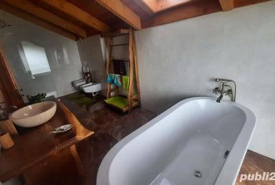 Loc. Unguras (jud, MM) - proprietate deosebita - 10