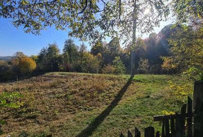 Teren de 5404 mp, în Vernești - 3