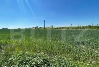 Teren de 25000 mp, în Pielești