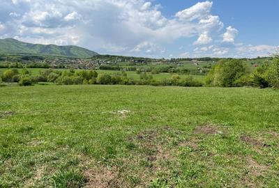 Teren agricol extravilan de 500 mp, în Central