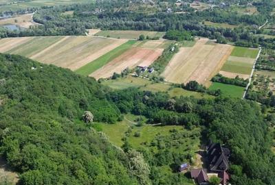 Casă cu 10 camere cu Teren 24700 Mp în Berchez