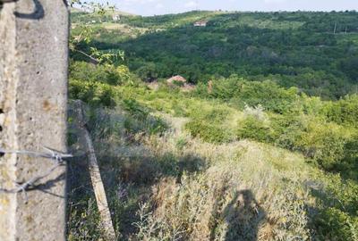 Teren, 3600mp, Drumul Vinului - 4