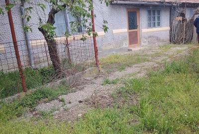 Casă cu Teren 1562 Mp în Osica de Sus - 1