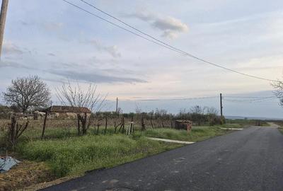 Teren de 9060 mp, în Cujmir - 1