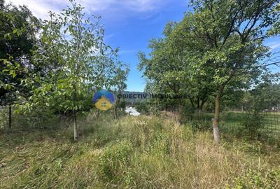 Teren + Casa de Vanzare 1170 mp Dumbrava Ro?ie, N - 11