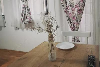 Garsonieră în Brâncoveanu - 4