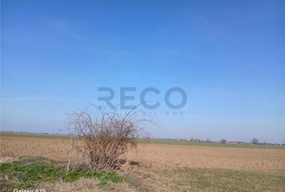 RECO Teren intravilan aproape de zona industriala Biharia - 5