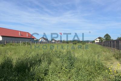 Teren 1369 mp - Strada Panduri / Aleea Constantin Chirita, Targu Jiu - 3