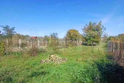 Casă cu 3 camere cu Teren 1400 Mp în Mihai Viteazu - 16