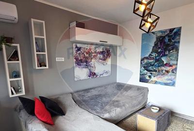 Apartament de inchiriat cu vedere la lac - 24