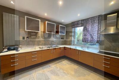 Duplex de 320mp, modern, 120mp, sauna, zona strazii Zaharia Stancu - 3