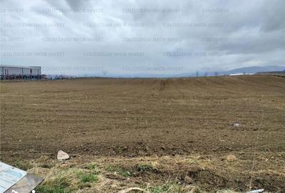 Teren de 5500 mp, în Central - 1