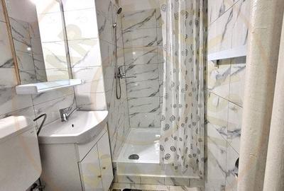 Garsonieră decomandată, mobilată în Craiovei - 5