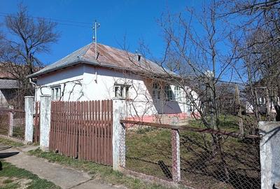 Casă cu Teren 41 Mp în Măeriște - 4